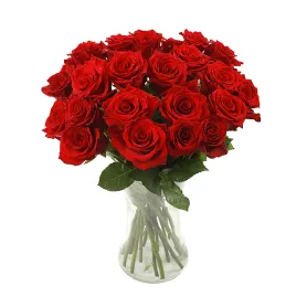 Red Roses Title «CityFlowers Dubai» in Dubai»