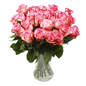 Bright pink roses Title «CityFlowers Dubai» in Dubai»