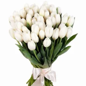 Snow White Title «CityFlowers Dubai» in Dubai»